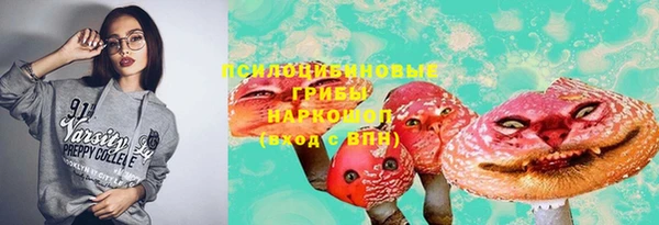 ешки Алзамай