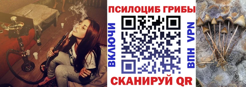 где продают наркотики  Кондопога  Галлюциногенные грибы мицелий 